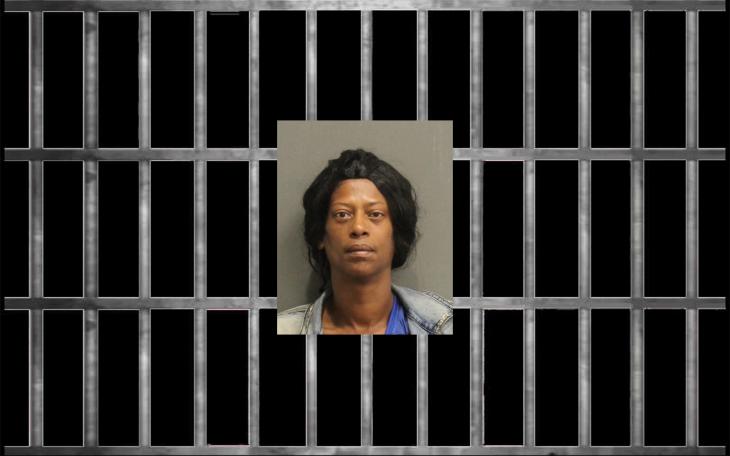 Grandmother Charged After 8-Year-Old Boy Accidentally Shoots Himself