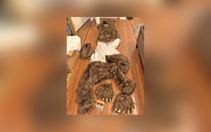 Four Face Insurance Fraud Charges After Blaming ‘Bear’ in Costume for Car Damage