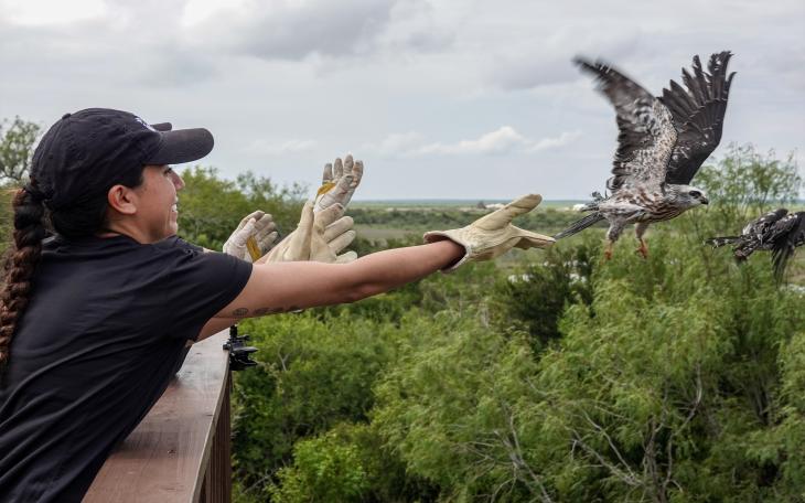 Texas Wildlife Center Needs Help to Save Endangered Species