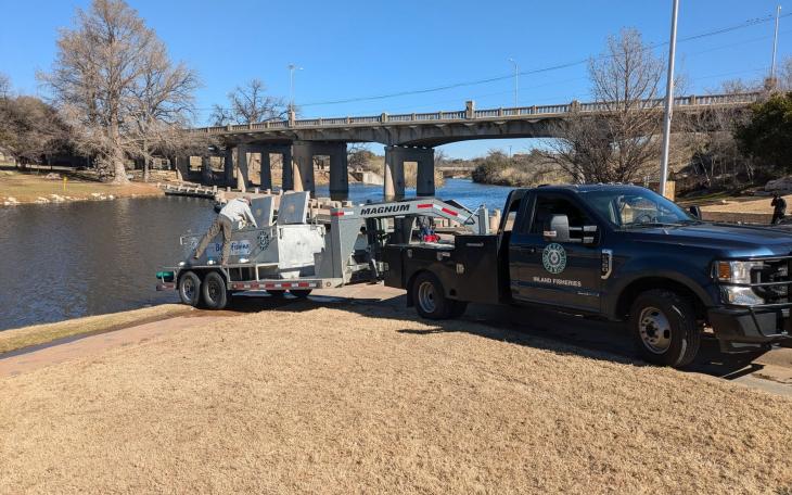Rainbow trout were recently stocked in the Concho River in downtown San Angelo by the Inland Fisheries San Angelo District, part of the Texas Parks and Wildlife Department.