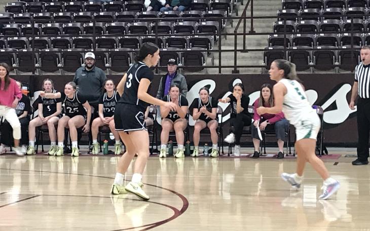 Wall's Brylyn Watts looks to set up the Lady Hawks' offense in their area round playoff game against Tolar on Friday, Feb. 14, 2025.