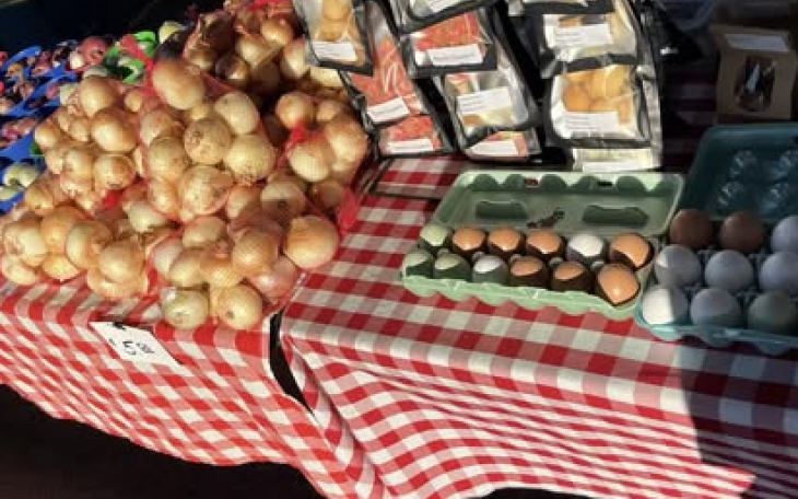 The Concho Valley Farmer’s Market will be open Saturday for the first time this year.