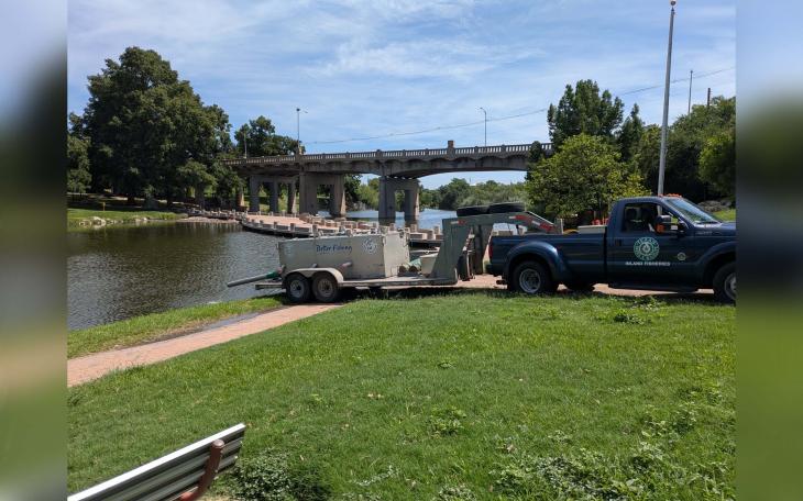 Fish stocking in the Concho River