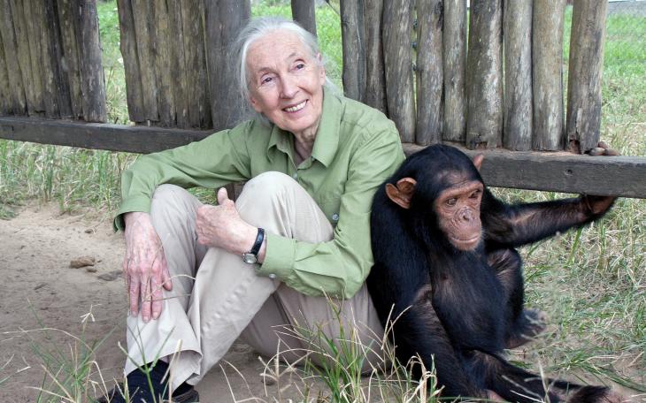 Jane Goodall