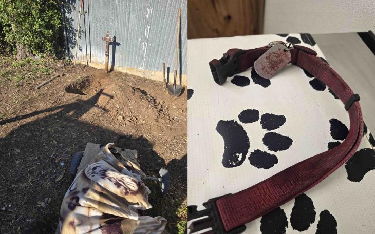 The owner of the dog killed in this week’s neighborhood animal attack shared images of the burial site and the pet’s collar.