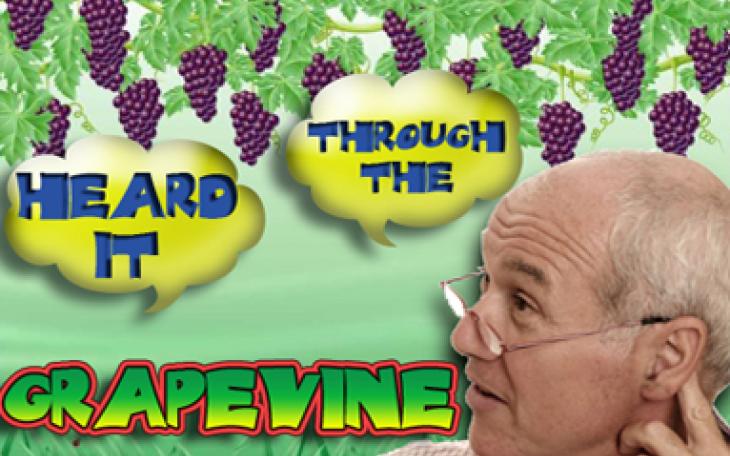 Caution, not everything you hear is accurate (photo courtesy of swlhoa.com)