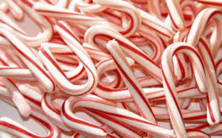 Candy Canes (photo courtesy of tampabay.com)