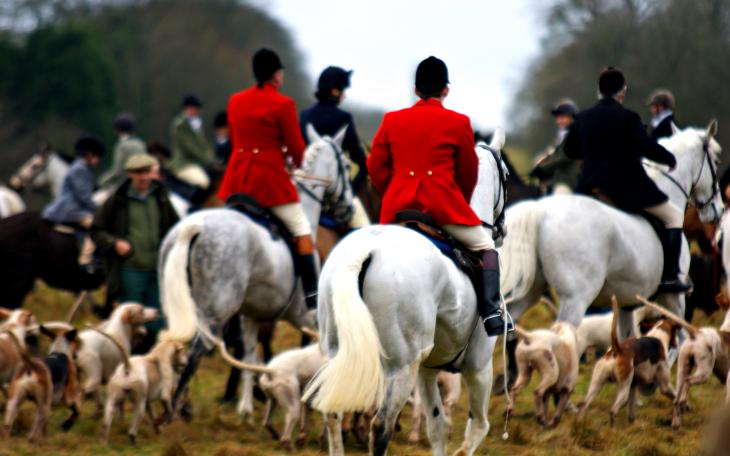 A modern foxhunt (photo courtesy of flickr)