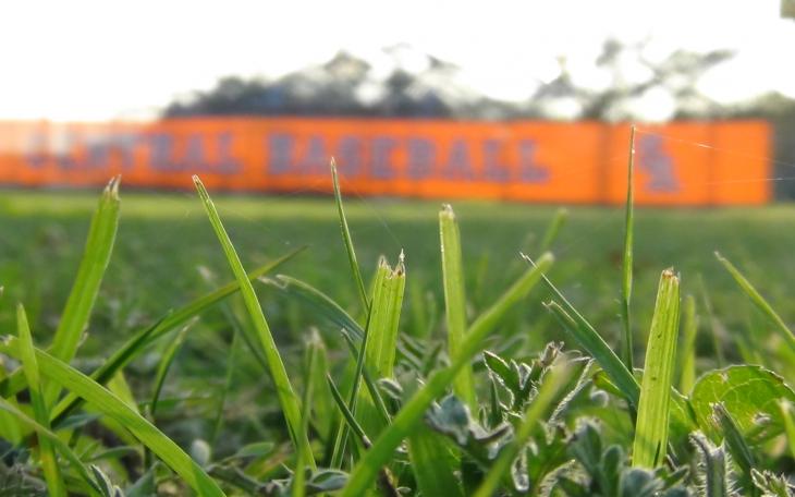 The fate of four San Angelo baseball and softball fields rests with City Council, as they decide whether or not to allot water resources to SAISD. (LIVE! Photo by Cheyenne Benson)
