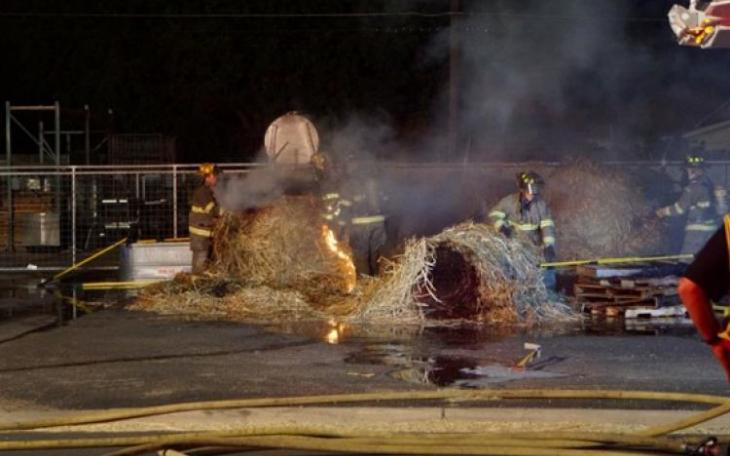 LIVE! Photo/John Basquez