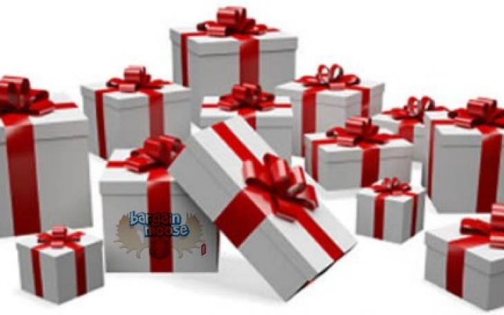 Image courtesy of bargainmoose.ca