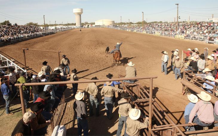 Cinch Roping Fiesta (LIVE! Photo/Manny Diaz)