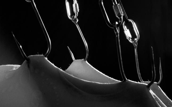 Image/ascensionsuspension.com