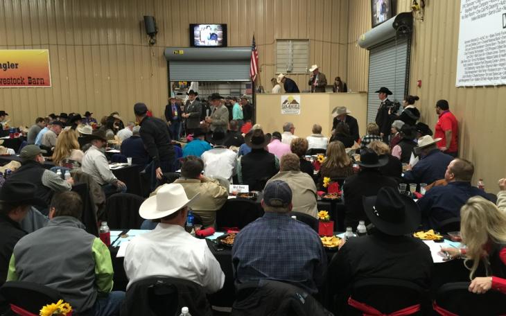 The San Angelo Stock Show and Rodeo Premium Sale was held Saturday, Feb. 28, 2015. (LIVE! Photo/Joe Hyde)