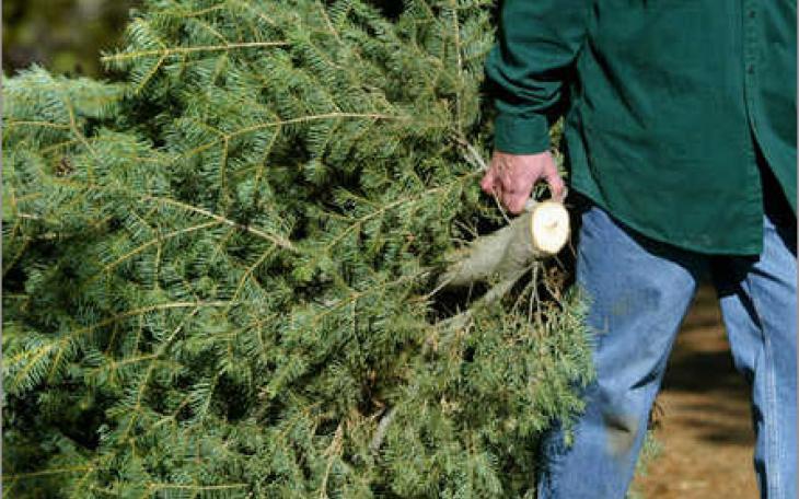 Photo/tcdailyplanet.com