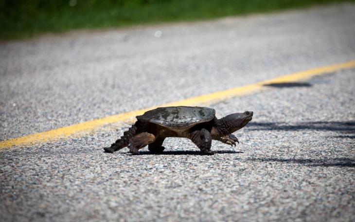 photo/  The Sudbury Star