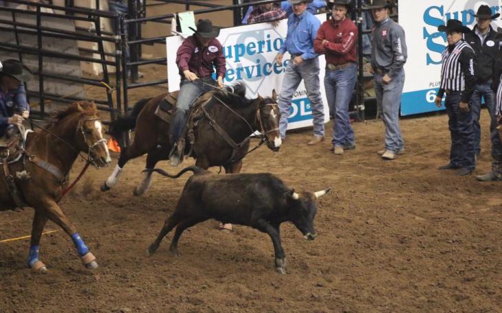 Tyler Waguespack, shown competing in the 2020 San Angelo Rodeo, recorded a time of 2.8 seconds Thursday in steer wrestling to set the arena record at CRC Roofers Coliseum.