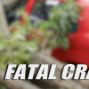 Fatal Crash Tree