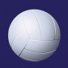 Volleyball image