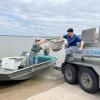 The O.H. Ivie and O.C. Fisher reservoirs were stocked Wednesday with Lone Star Bass fingerlings by the Texas Parks and Wildlife Department.