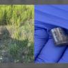 DPS Coordinates Safe Recovery of Radioactive Source in Midland Co.
