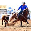 A competitor ropes a calf during the Cinch Roping Fiesta.