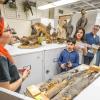 Angelo State Natural History Collections Tour