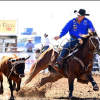 A competitor ropes a calf during the Cinch Roping Fiesta.
