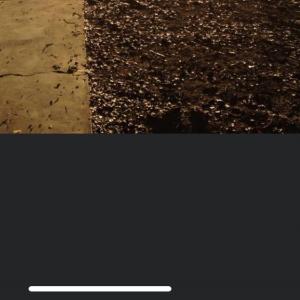 Profile picture for user TxCowgirlRN50