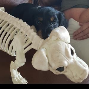 Profile picture for user ban