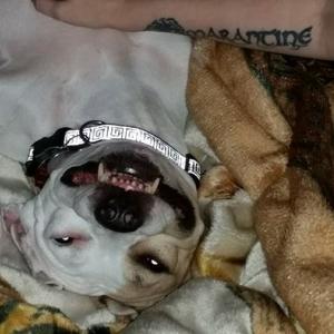 Profile picture for user Abrupt Reality