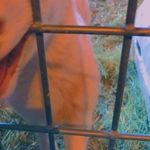 Profile picture for user mjplant420