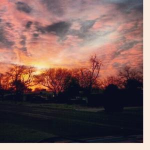 Profile picture for user checkeredvans