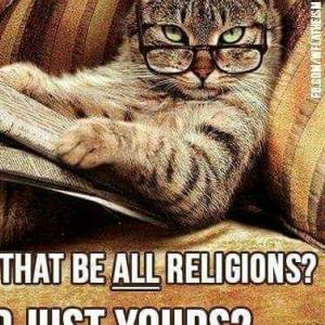 Profile picture for user U R Sheep