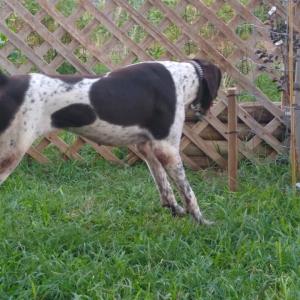 Profile picture for user Wiz88Ag